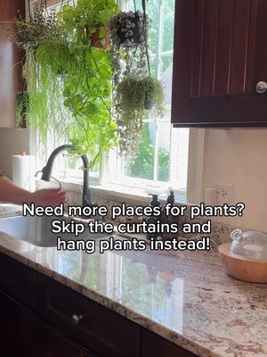A curtain rod for 🪴? Brilliant! Would you try this? 📸: @lorrileezander #houseplants #plantgoals #howihome #homedecor