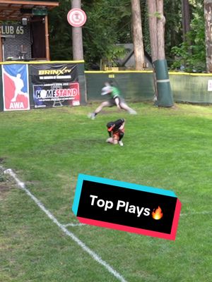 Bro Was Fired Up on the Last Play😤 #dingersornothing #wiffleball #baseball #foryou 