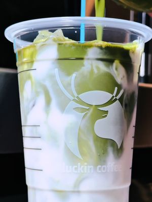 OMG NYC summer is BRUTAL this year 🥵☀️ Walking outside feels like I'm literally melting and dying of thirst 😭💧 BUT thank god I discovered Luckin Coffee just opened here and saved my LIFE! 🙌 @luckincoffeeus  Their app is SO fast ⚡️ and I'm obsessed with their Coconut Latte - it's naturally creamy, additive-free, and made with pure coconut milk! 🥥✨ No weird stuff, just clean ingredients! And don't even get me started on their Matcha Latte - premium matcha + espresso = perfection 🍵💚 But their fruity drinks are where it's AT for summer! Pink Sunrise is giving me major tropical vibes 🌅🥭 - fresh mango + coconut = pure paradise in a cup! And Solar Breeze?? That orange-grapefruit combo is the perfect tangy kick I need 🍊🌪️ FRUITY, SOUR, SWEET - like a refreshing shower for my soul! The stores are SO clean and modern, but most importantly, they blast the AC! 🧊❄️ Literally a cool oasis when I'm about to pass out from this heat! Find your nearest location: 📍 755 Broadway, NY 10003 📍 800 6th Ave, NY 10001 📍 NEW OPENING AUG 24: 901 8th Ave, NY 10019 Honestly, Luckin Coffee is saving NYers from this insane heat wave one icy drink at a time! Who else is team #LuckinCoffee this summer? Drop your fave drink below! 👇 #newyorkfoodie #nycfinds #nyccafe #LuckInNYC