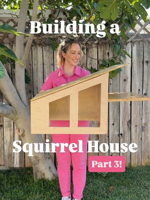 This house is now a home ☺️🐿️ And now I have so many more ideas that I want to use my @Cricut Joy Xtra and EasyPress Mini for! 😍 #ad Should I add more to the inside or outside next?! #cricutad #cricutmade #squirrelhouse