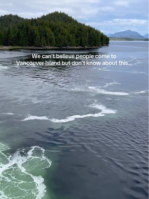 The Inside Passage isn’t just a route, it’s an experience: 15 hours, 274 nautical miles, and a journey through coastal forests, glacier-carved fjords, and wildlife-rich waters between Port Hardy and Prince Rupert. 🐋  Credit: @slowroamers #exploreBC #BritishColumbia #TravelTips #forest #fjord @Tourism Vancouver Island   