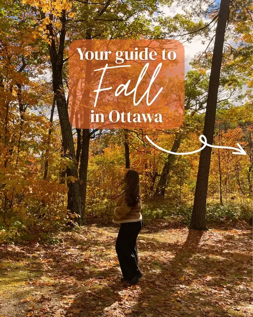 Here are all the recommendations you need, save & share with a friend 🍁🫶🏻 #ottawafall #falltravel #thingstodoinottawa #ottawa 