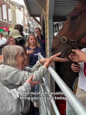 This lady may not have been able to see, but to feel a racehorse brought her so much joy ❤️ Mole (Bay Of Australia) is worth his weight in gold ⭐️ #nationalracehorseweek @Chris Hughes 