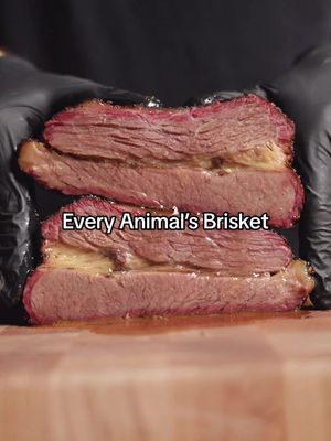 Replying to @Coffeeflow I can do that… #brisket 