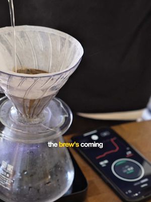 Here’s a quick look into our process of dialing in our coffee ☕️ At the end of the day it’s all about taste, so we use a couple tools to help us get a visual on how our brew comes out so we can make any changes we need to get the flavor we’re looking for.  Coffee like our Diego Bermudez Lychee Castillo are definitely fun to dial in cause you can really notice how small tweaks in your brewing translate to the final cup. Cheers ✌️ #poorboycoffee #startup #coffeepopup #entrepreneur #sanfrancisco