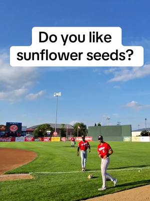 Trying SMACKIN’ Cheddar Jalapeño sunflower seeds before the game ⚾️