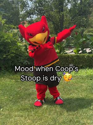 Hoping every day is a dry stoop day this O-Week! 🙏🙌 #UofG #UofGuelph | @Chris OBrien