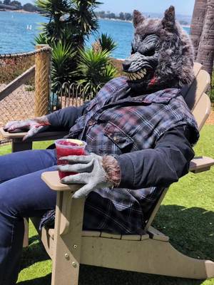 Soaking up the last moments of summerween ☀️🎃 #seaworldsandiego #howloscream #howloscreamsandiego #summerween 