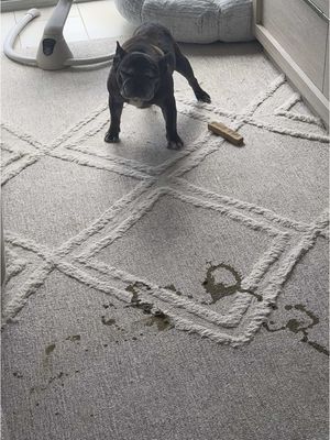 Shitty way to start the day…