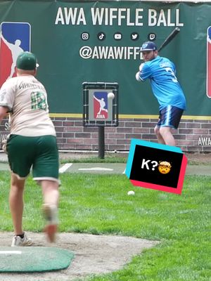 Is This a Strikeout?😭 #dingersornothing #wiffleball #baseball #foryou 