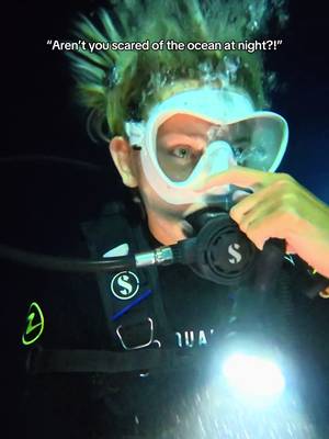 Nighttime is my FAVORITE time to dive. Everything comes ALIVE after dark 🥰🌌 This was a Manta Ray night dive in Hawaii. In the playlist below, you’ll find a whole video about the experience plus how you can do this yourself (snorkeling or scuba)! It is a BUCKETLIST experience, and I highly recommend it! #nightdive #scubadive #mantaray #hawaii #hawaiilife 