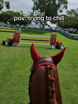 forgot where fence 9 was and my arms gave out on me lol but we managed 😅 Ruby doesn’t get tired as the week progresses, he gets more bold. Idk how this little boop gets the energy!! This was our only round all week where he felt super strong, but it wasn’t out of control (like I’ve experienced in the past) and still a successful week! Picked up a couple rails along the way but baby boy jumped confidently & is learning not to rush as much. I’m proud of his progress ❤️ #equestrian #equestrianlife #equestriansoftiktok #horsetok #adultammy #horsesoftiktok #horsegirl #hunterjumper #horseshowlife #horsejumping #showjumping #povride 