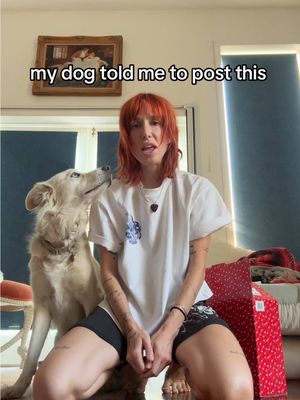 my dog actually hit record 