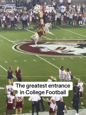 Absolute Chills #fsufootball #floridastateseminoles #collegefootballtiktok 