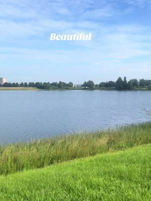 It’s a beautiful day to start something new… #fyp #florida #sunshine #sunnday 