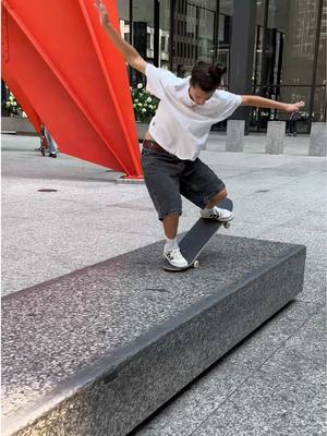 Chicago 🤩🛹#skateboard #skatelife #skater #chicago 