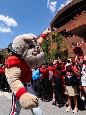 🗣️ Bulldogs 