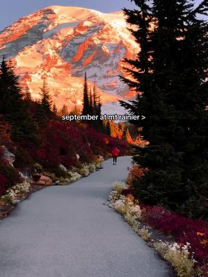 september at mt rainier is magical 💫 #mtrainier #washingtonstate #seattle 