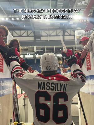 🗣️ THE NIAGARA ICEDOGS PLAY HOCKEY THIS MONTH! counting down the days until home opener 👀 #OHL #NiagaraIceDogs #HockeyTikToks #BraidyWassilyn 