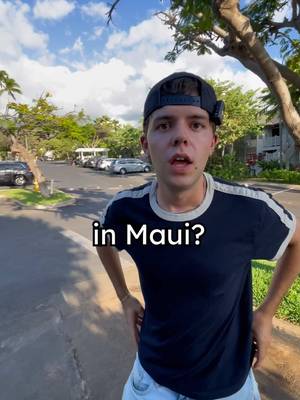 How Much is Rent in Maui? 💰🏝️ P1 #jtcasey 📍A.R.A Retreats : The Hideaway #airbnb #maui #hawaii (LINK TO BOOK : https://www.araretreats.com/ ) 