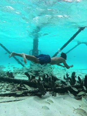 The Florida keys is always special but when the conditions are perfect and you get the reef all to yourself??? Absolute perfection!! #floridakeys 