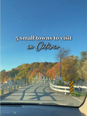 Small towns you need to visit in Ontario 🤎✨ Add these to your Canadian travel list ✍️ (they’re all perfect for fall road trips) #exploreON #exploreontario #canadiantravel #ottawavalley   #smalltown 