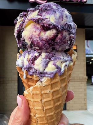 @Van Leeuwen Ice Cream opens in CHARLOTTE, NC at 11 AM today!!!  Don’t miss the grand opening celebration! $1 scoops from 11-1 and the first 100 people get a tote bag!!  1711 commonwealth ave  #vanleeuwenicecream #clt #charlottenc #icecream #grandoopening