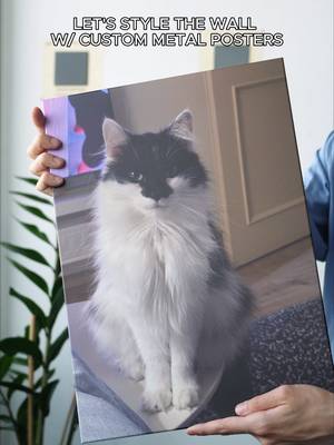 ▶︎ So… what’s a Custom Displate? Imagine your favorite pic… but as metal wall art! Your pet’s goofy face, your travel shots, your gaming setup, even your wedding photos.  Build a whole gallery wall of things that really matter 🫶 #displate #customdisplate #metalposter #printyourphotos #printmaking #printondemand