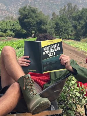 taking notes