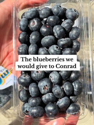 The summer we developed an unhealthy obsession with blueberries and teenage drama on a TV show…🫠 #tsitp #trend #fyp #conradfisher #jeremiahfisher 