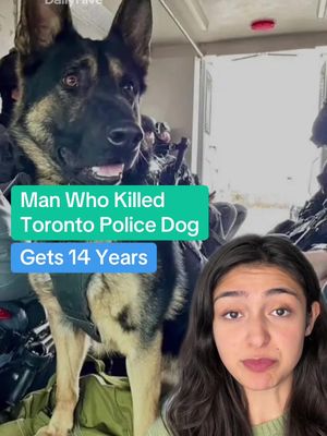 #toronto #torontotiktok #torontonews #yyz 