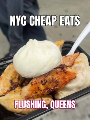 Trying the best cheap eats in Flushing, Queens  #chinatown #cheapeats #food #dumplings #queens 