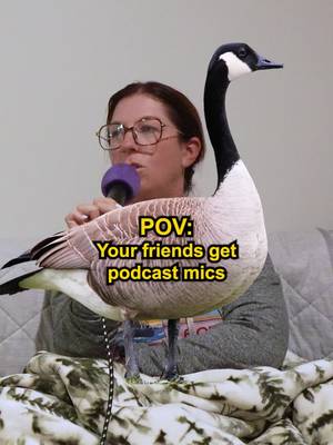 why are Canadian geese so mean?
