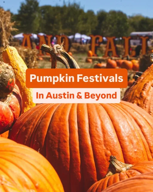September Kicks off Fall Festival Season & these are the pumpkin 🎃 patches & festivals you’ll want to save!  Sweet Eats Fruit Farm - In Georgetown featuring a 4.5 acre corn maze, pumpkin patch with 40+ varieties of pumpkins, pig races, petting zoo, pony rides & more! Happening Sept 20-Nov 7th @Pumpkin Nights  - In Northeast Austin. Get in the Halloween spirit with Pumpkin Nights fire dancers, pumpkin carving, food, drinks and kid friendly games. Happening Sept 19-Oct 31! Early bird tickets on sale now. @sweetberryfarm - In Marble Falls this Fall Festival featuring hay rides, pumpkins, a jumping bean and corn maze for kids! Plus they have adorable goats you can pet. Happening Sept 20-TBD. Admission is free, but each activity costs $$. Indian Springs Ranch in South Austin - Fall Festival on an exotic animal ranch in South Austin. Features a jumping pillow, new low ropes Course, 30 types of pumpkins, cider and food trucks. Sept 27-Nov 1 @Uhland Fall Fest  in Kyle, TX- Formerly the Dripping Springs Pumpkin Patch.. a family-friendly event with so much more than just pumpkins. Games, activities & attractions on a 15-acre property. @TheRobinsonFamilyFarm - In Temple, Texas - The ultimate Fall Festival/Pumpkin Patch with armadillo & pig races, bull riding, a food truck park, biergarten, helicopter rides, live music & a zipline. Sept 27-Oct 26 ➡️ this post to a friend and let me know what events you’re most looking forward to in the comments!  #austintx #austinevents #pumpkinpatch  #fallfestival  #austinfamily     