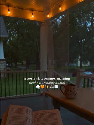 Make sure your sound is up for this one. 🥰⛈️🧡✨ A couple weeks ago, I finally woke up to the sound of rain and thunder! The rain had cooled down the temperatures too (it felt wonderfully like fall!), so I opened the windows to take in the petrichor and soothing sounds. ⛈️ We were packing to leave for a trip that morning so I didn’t have too long to enjoy it, but enjoyed every second that I could with a warm mug of tea in one of my favorite mugs, my autumn leaves Snoopy mug, and read some of my current book (which I ended up DNFing 😅). It’s been a couple weeks without any rain, so I’ve got my fingers and toes crossed it makes an appearance again soon. 🌧️ How do you like to spend rainy days? 🧡 #rainy #rainasmr #rainsounds #stormyweather #thunderstorm 