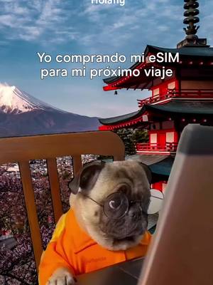 Prioridades: 1. eSIM ✅ 2. Pasaporte ✅ 3. Todo lo demás… después