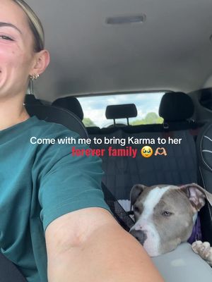 The amount of tears I’ve shed over this girl just wanting her to find the perfect home. AND SHE HAS FOUND IT😭😭 So many of you have donated, reached out about and cared for Karma too during these past months, so THANK YOU.  I couldn’t have asked for a better outcome for her, this family is everything I’d hope they’d be and so much more. Karma May is going to have such an amazing and spoiled life like the princess she is. 👑 #dogtok #fosterdog #shelterdog #pitbull #adoptdontshop #nashville #Tennessee #adopt 