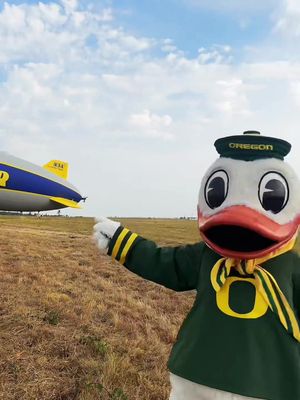 das a plane?
