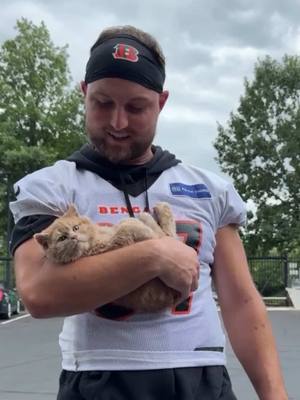 More puppies and kittens?? Okkkkk #bengals #nfl #puppy #cat 