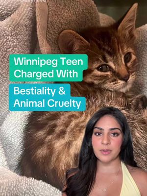 🚨🚨 #WinnipegNews #Winnipeg #ManitobaNews #CanadaNews #LocalNews                    
