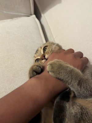 I don’t think she wants to be loved…