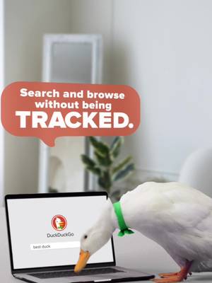 Tracking? 👀✋Blocked. Creepy ads? ❌ Cancelled. #duckduckgo #daxtheduck #techtok #duckit #fyp