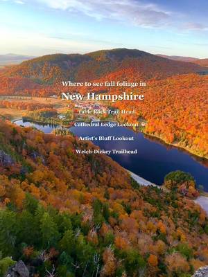 Foliage in New Hampshire 🍂 Where to see fall foliage in New Hampshire? 📍Table Rock Trail Head, 📍Cathedral Ledge Lookout, 📍 Franconia Notch, 📍Welch-Dickey Trailhead Who’s ready for fall? 😭 #newhampshire #fall #newengland  #creatorsearchinsights 