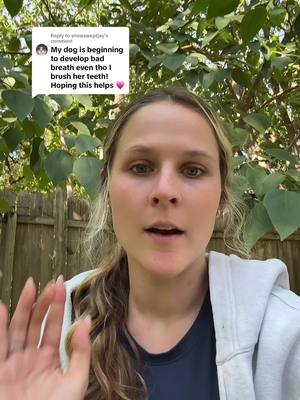 Replying to @snowsweptjay 47% off GutWell Clean Breath on tiktok shop ONLY through 9/30. try it out and stock up to freshen your dogs breath 🙌 #doghealth #dognutrition 