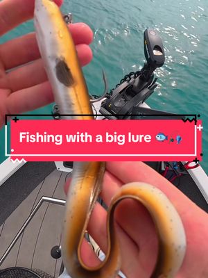 I Fished with a Giant Lure 🐟🎣 #fishing #fishingvideos #capcut 