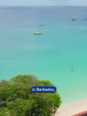 🏝️ Barbados welcomed New York Giants’ stars Brian Burns & Kayvon Thibodeaux for the ultimate island immersion. From stunning beaches to unforgettable adventures, they experienced why Barbados is the place to Vacation like a NY Giant. 🌊✨🇧🇧 #VisitBarbados #LoveBarbados #MyBarbados
