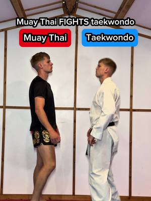 Muay Thai fights taekwondo