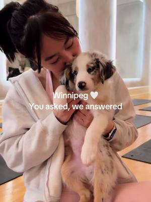 Winnipeg, get ready! 🩷 We’re coming SO soon, and you’re don’t want to miss all the cuddles and smiles! Click the link in our bio to sign up for early access to tickets, giveaways, and more ✨  #winnipeg #puppyyoga #fyp 