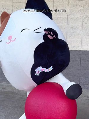 Moments you can’t script 🤪 #squishmallows #squishtok #carebears #bloopers #squishmallowsxcarebears @Care Bears™ 