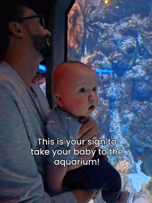 Our four month old’s first trip to the Albuquerque BioPark Aquarium was such a joy. Seeing him completely entranced by the sea animals reminded us how magical the world feels when you’re experiencing it for the first time. Watching his little eyes follow the fish and jellyfish was the sweetest way to spend Labor Day as a family! The Albuquerque BioPark Aquarium is such a gem for all ages, whether you’re introducing your baby to the wonders of the sea or exploring the exhibits yourself. The sea otters are my favorite, but they were being shy when we visited.  For New Mexico residents, admission is just $10 for adults, $5 for youth ages 3–12, and children 2 and under are free. Plus, who wouldn’t want to enjoy an afternoon bottle at the Shark Reef Café?  #ABQBioPark 